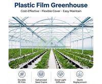 Serre agricole intelligente à structure galvanisée à travée unique, tunnel de serre pour fraises et plantes tropicales à vendre