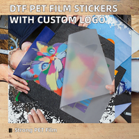 Consommables DTF : Poudre d'encre et film