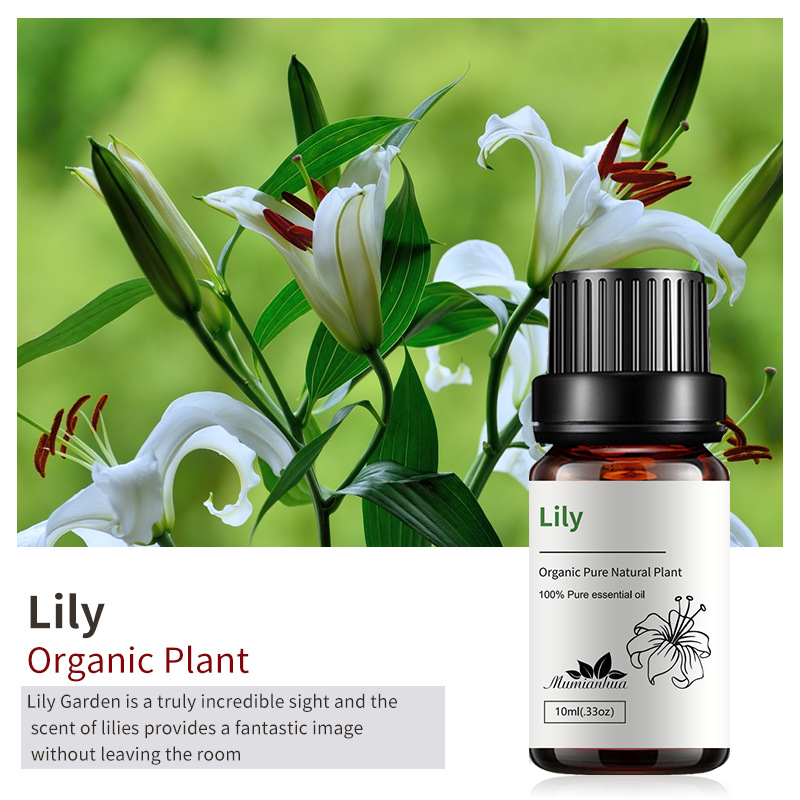 Lily/10ml