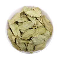 Té de Hojas de Luobuma |   Té Herbal Calmante y de Apoyo Hepático |   Sin cafeína |   Apocynum Veneti Folium Seco a Granel |   OEM Personalizado