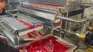 Nueva Línea de Producción de Perlas de Turrón Totalmente Automática de Alta Productividad para Fabricantes de Confitería y Bebidas - Product Image 2