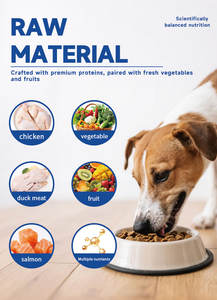 Ração Seca para Cães de Marca Privada por Atacado - Alta Proteína Saborosa de Peru - Product Image 4