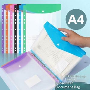 Porte-documents vertical A4 transparent à 11 compartiments 3D exclusif transfrontalier pour examens étudiants - Product Image 3