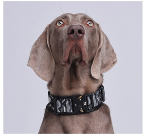 Manufacturer New Design Tactical <strong>Dog</strong> <strong>Collar</strong> Nylon Reflective Heavy Duty Adjustable for Large Medium <strong>Dogs</strong> <strong>Hunting</strong> Training - Product Image 5