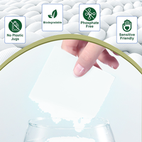 Feuilles de lessive parfumées fraîches pour 40 lavages, comprimés nettoyants biodégradables, bandes de lessive écologiques pour le lavage