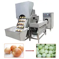 Small Onion Peeling Machine