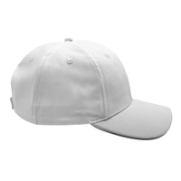 Gorra de Béisbol Unisex al por Mayor con Tira de Luces LED de 6 Paneles, Cierre Trasero Ajustable, Lona Común para Uso Deportivo, Logotipo Bordado Personalizado