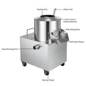 Machine à éplucher les pommes de terre électrique commerciale pour patates douces, carottes, taro et légumes à racine, en acier inoxydable, industrielle - Product Image 5