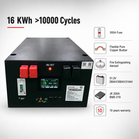 Kits DIY 48V 300Ah 16S avec boîtier de batterie 16S 200A BMS et accessoires d'alimentation, boîtier de batterie lithium DIY pour JK BMS