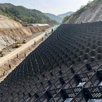 Grille de sol en géocell HDPE texturée et perforée pour allées, murs de soutènement, construction routière et stabilisation du gravier