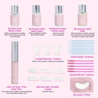 Kit professionnel OEM pour permanente des cils et des sourcils avec rehaussement et coloration semi-permanents, pour salon et usage domestique, livraison rapide