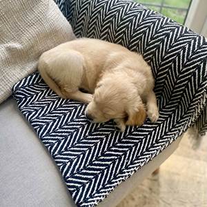 Wholesale Soft Woven Handwoven Farmhouse Striped Cotton Sofa Blanket <strong>Throw</strong> With White Tassel - Product Image 5