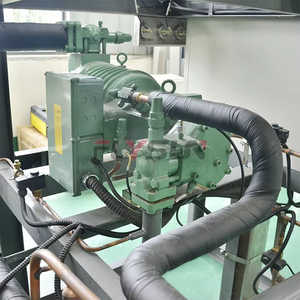 Máquina de liofilización al vacío de setas que ahorra trabajo, equipo de liofilización de setas, Máquina secadora de setas - Product Image 6