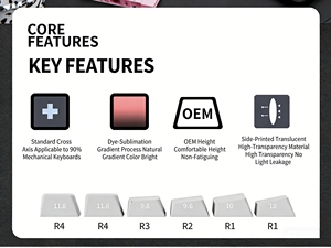 Cubierta <span class=keywords><strong>de</strong></span> Teclado Mecánico Retroiluminada con Tecnología IMD English Lightning <span class=keywords><strong>de</strong></span> Zornher, Impresión Lateral, PBT Duradero, Universal para Juegos - Product Image 4