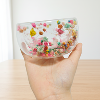 Bol à dessert en verre borosilicate à double paroi avec décoration de fleurs séchées, bol de service pour salade, crème glacée, collations, cadeau de fête pour la cuisine