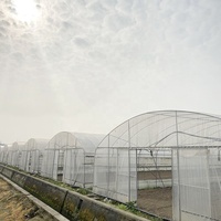 Film plastique agricole 30x100 Serre verte Polytunnel Champignon à tunnel unique