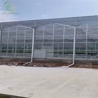 Serre verte personnalisée équipement feuille de verre agricole serre avec système de culture de tomates grand verre hydroponique en verre