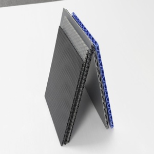 Feuille alvéolée en <span class=keywords><strong>polypropylène</strong></span> (PP) 4x8 pour emballage, écologique, imperméable, résistante aux UV, recyclable, impression et découpe personnalisées - Product Image 1