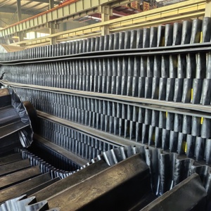 Çin büyük daldı<span class=keywords><strong>rma</strong></span> açısı konveyör bant - Product Image 6