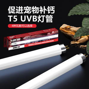 ND-32 PET Reptile Pet Habitat éclairage 220v <span class=keywords><strong>UVB</strong></span> Fluorescent désert T5 ampoule 10.0 <span class=keywords><strong>UVB</strong></span> lumière du jour lampe reptile accessoires - Product Image 3
