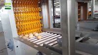 Machine de collecte d'œufs de volaille, système de convoyeur à faible consommation d'énergie et faible bruit pour élevage de poules pondeuses, collecteur automatique
