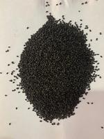 Graines de basilic noir biologique en vrac de haute qualité et à prix compétitif 99 GOLD DATA WS 0084587176063