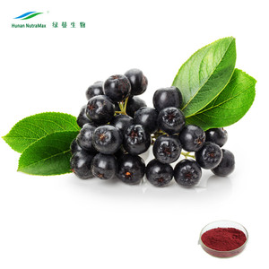 <span class=keywords><strong>Poudre</strong></span> d'<span class=keywords><strong>aronia</strong></span> noire, extrait d'<span class=keywords><strong>aronia</strong></span>, extrait d'<span class=keywords><strong>aronia</strong></span> - Product Image 1