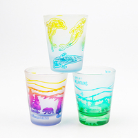 Verres à shot en verre givré électro-plaqué personnalisés avec logo, souvenirs touristiques en gros