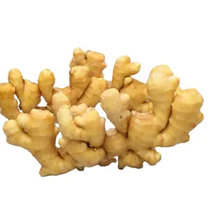 Best quality fresh ginger 2023 new crop air dry ginger hot sales