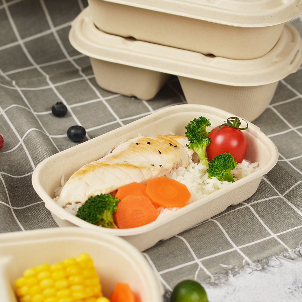 ZX 850ml PFAS Free Pulp Bagasse Paper Food Plates Lunch Box Food to Go Container Disposable Cake Bowls