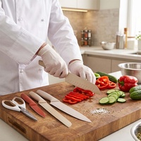 Ensemble de couteaux de cuisine en acier inoxydable durable et écologique, 7 pièces, manches colorés, couteau Santoku, ciseaux pour la cuisine