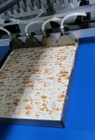 Wanlisonic Nouvelle machine à décorer les gâteaux Équipement pour l'industrie alimentaire et la boulangerie pour la fabrication de gâteaux aux fruits