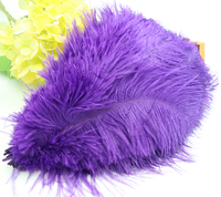 Plumes d'autruche teintées de 25-30 cm, fourniture d'usine, fournitures de décoration pour coiffes de mariage DIY, bouquets muraux