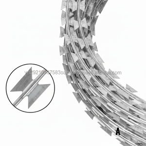 Barbelé anticorrosion de rasoir d'acier inoxydable de longue durée pour l'environnement côtier et d'humidité élevée - Product Image 1
