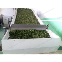 Continue Transportband Fruit Drogen Machine Rode Datum Droger Datum Droger Machine