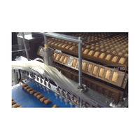 Ligne de production automatique de gâteaux en forme d'ours 3D, machine à déposer les gâteaux en acier inoxydable pour boulangerie commerciale, directement de l'usine