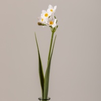 Mini fleurs de narcisse artificielles faites à la main au toucher réaliste pour les bouquets de mariage DIY et la décoration de la maison de Pâques, printemps en vrac