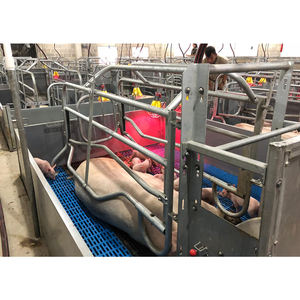 Nuevo Diseño de Jaula de Parto con Barra Antipresión para Equipo de Cría de Cerdos, con Acero Galvanizado en Caliente y Anticorrosión - Product Image 4