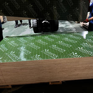 Contrachapado de estructura de chapa con revestimiento de película moderna para construcción de paredes de hoteles y producción de palés de <span class=keywords><strong>madera</strong></span> - Product Image 5