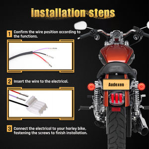 <span class=keywords><strong>Feu</strong></span> <span class=keywords><strong>arrière</strong></span> de voiture à LED avec lentille fumée transparente, <span class=keywords><strong>feu</strong></span> <span class=keywords><strong>arrière</strong></span> 12V, <span class=keywords><strong>feu</strong></span> <span class=keywords><strong>arrière</strong></span> à LED pour moto, <span class=keywords><strong>feu</strong></span> de frein pour Harley Davidson - Product Image 5