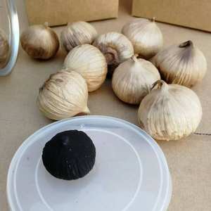 <span class=keywords><strong>Ail</strong></span> noir fermenté chinois <span class=keywords><strong>non</strong></span> <span class=keywords><strong>pelé</strong></span>, de qualité supérieure, taille 3,5-4,0 cm, naturel, vieilli à la chaleur, entier - Product Image 4