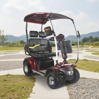 Scooter électrique tout-terrain pour adultes à double siège, moteur puissant de 1300 W, étanche, 15 km/h, véhicule de sécurité