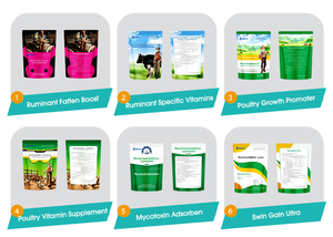 Lanchen Additif Alimentaire Concentré Haute Valeur Nutritionnelle pour Porcs Vitamine <span class=keywords><strong>AD3E</strong></span> Supplément Alimentaire Acides Aminés Favorise la Croissance Prévient la Diarrhée - Product Image 6