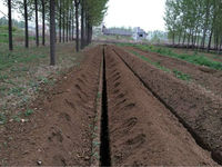 Miniexcavadora de Zanjas, Accesorio para Tractor con Motor y Caja de Cambios, Profundidad Máxima de Excavación 700 mm, Compatible con Tractores de 100 CV