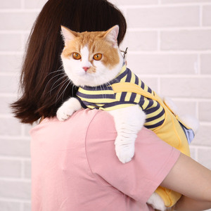 Cute Cat <b>Overalls</b> Yellow Anti-Shedding Warm <b>Winter</b> Clothes For Pets Funny Style - Product Image 2
