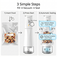 Machine de mise sous vide portable sans fil 65KPa à prix d'usine, dispositif de conservation alimentaire avec sacs réutilisables pour camping-car et voyage