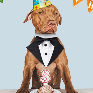 Esmoquin de perro de nailon ajustable para todos los patrones sólidos pajarita para mascotas Bandana para compromiso Formal cumpleaños invierno primavera accesorio - Product Image 6