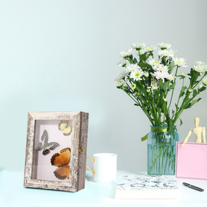 Côn Trùng hiển thị trường hợp Wall Mount Tabletop hiển thị bướm mẫu bộ sưu tập hộp khung UV EVA bọt Hội Đồng Quản Trị 3 kích cỡ pins bao gồm - Product Image 6