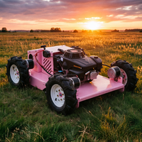 Tondeuse RC à roues 4x4 de 550 mm, moteur à essence 4 temps, autopropulsée, certifiée CE EPA Euro 5, pour jardin et parc, idéale pour le bricolage