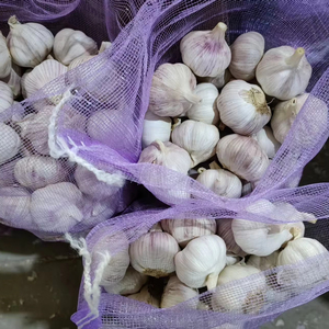 Exportadores de Ajo de China, Suministro de Ajo Natural, Ails/Ajo/Alho, 4.5cm-6.5cm, Empacado en Caja/Bolsa, Calidad de Exportación - Product Image 1